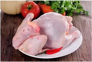 一只圣农冰鲜鸡引爆的家禽产业变革