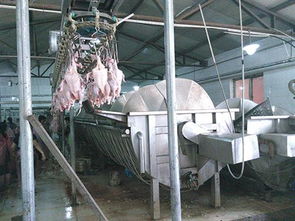 诸城市昊腾机械厂家禽类机械高清精选图片库