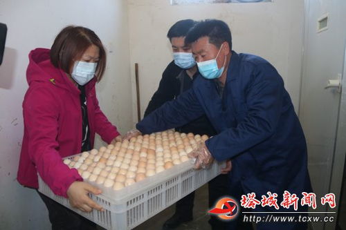 家禽孵化厂 科学孵化促增收，家禽产业谱新篇