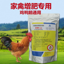 兽药维生素 家禽养殖的黄金营养选择