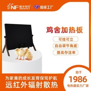 家禽行业发展的新时代 ——以XX家禽公司为例